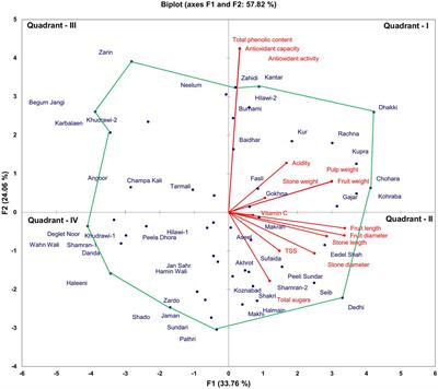Correlation among some phenological and biochemical traits in date palm (Phoenix dactylifera L.) germplasm
